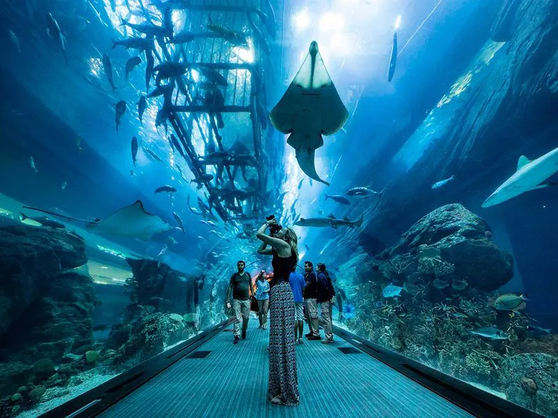 Dubai Aquarium And Underwater Zoo