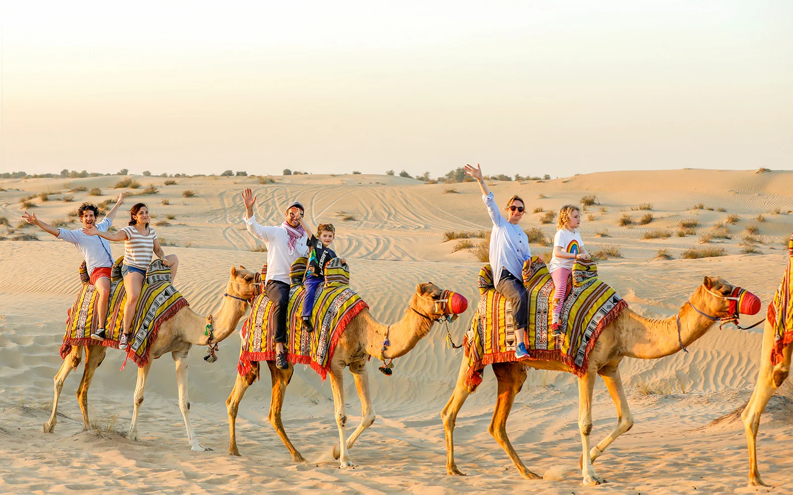 Morning Desert Safari