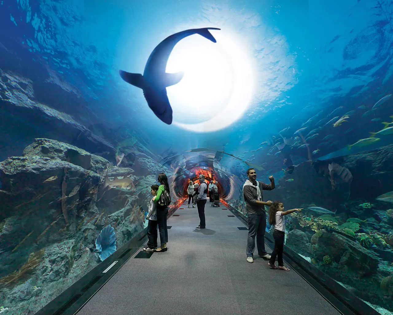 Dubai Aquarium And Underwater Zoo