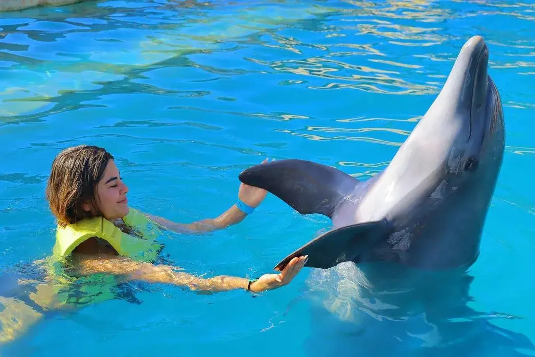 Dubai Dolphinarium