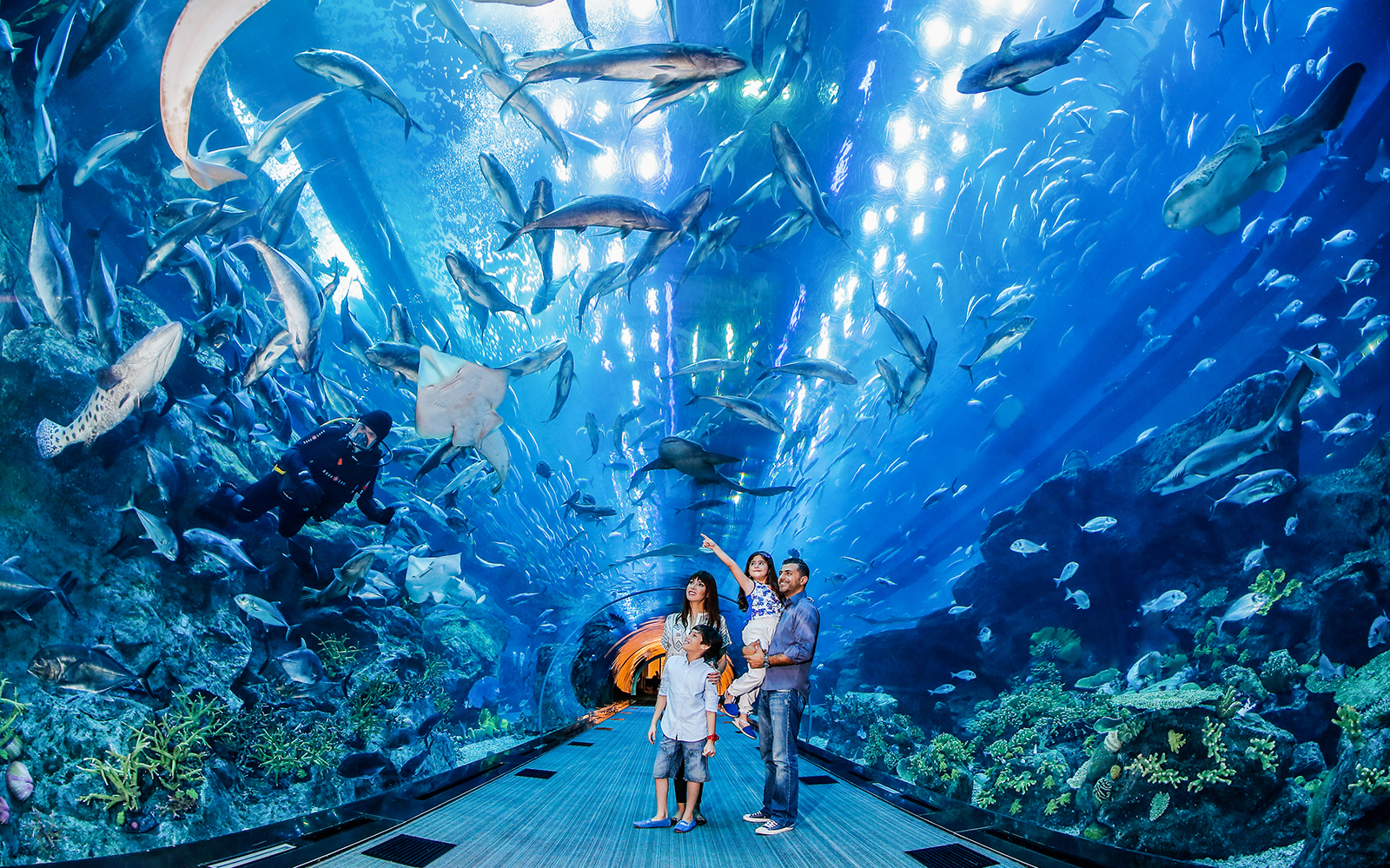 Dubai Aquarium And Underwater Zoo