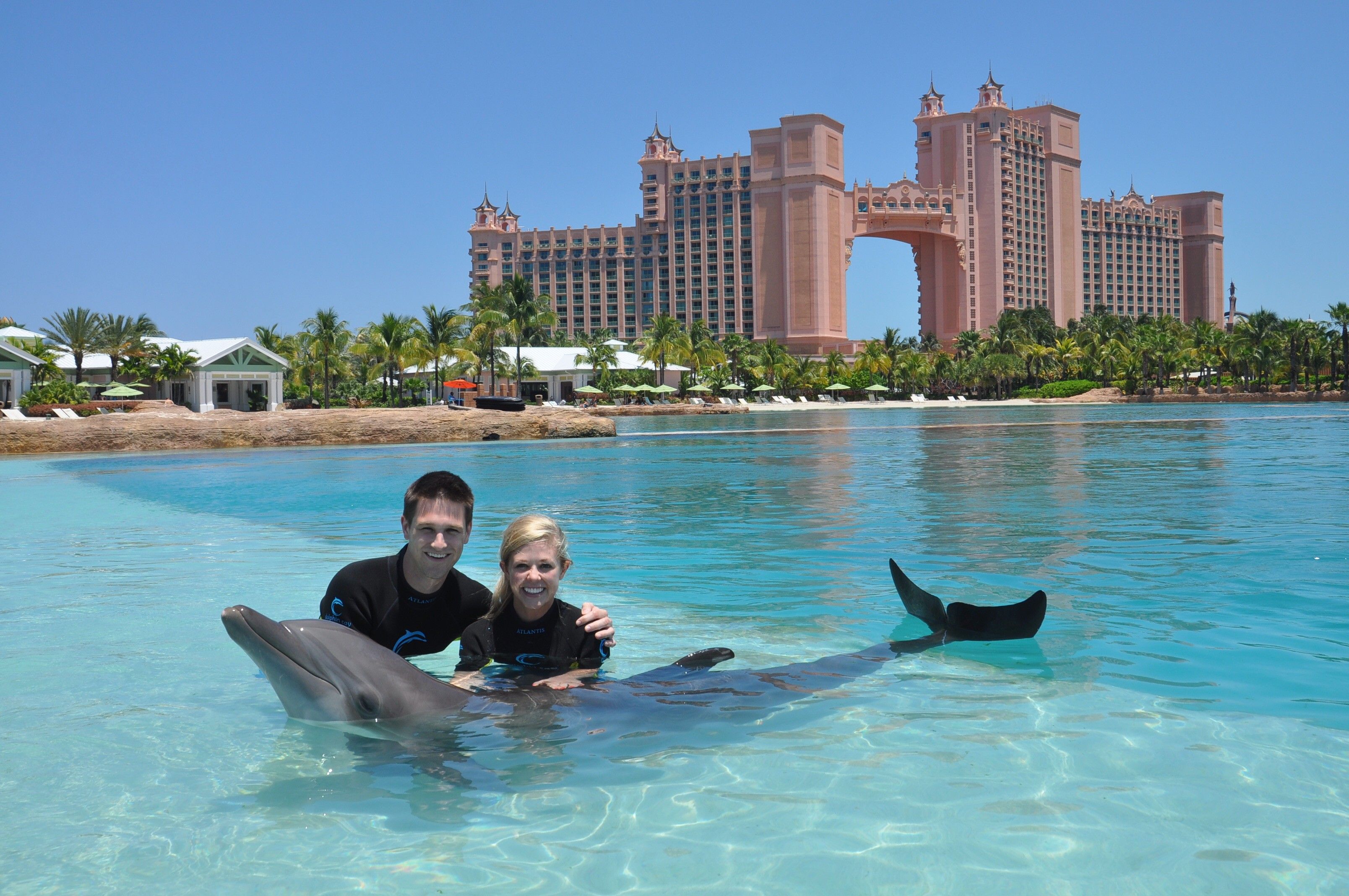 Dolphin Bay Atlantis